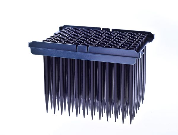 Bore Filtered Pipet Tips
